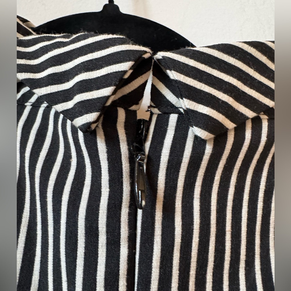 Eva mendes Striped Black White Classic Vintage Sleeveless A-line Dress 10 NWT - Picture 6 of 8